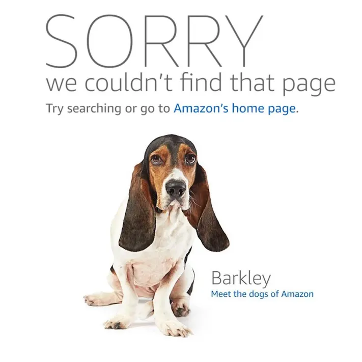 Amazon error code 500 resolution