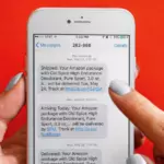 Amazon Shipment Updates