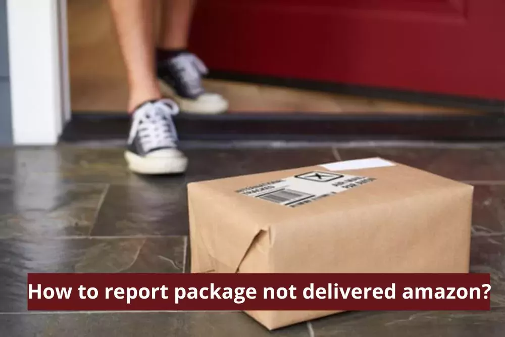 Report-a-Package-Not-Delivered-Amazon