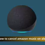 A person using Alexa to cancel Amazon Music subscription
