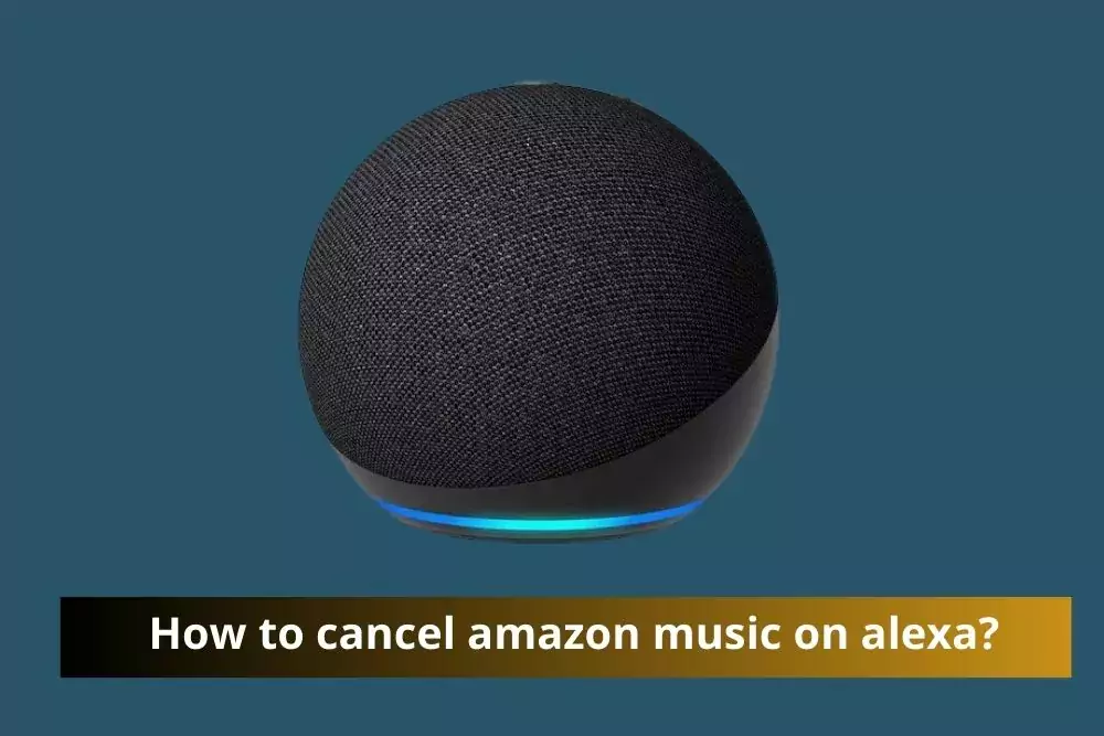 A person using Alexa to cancel Amazon Music subscription