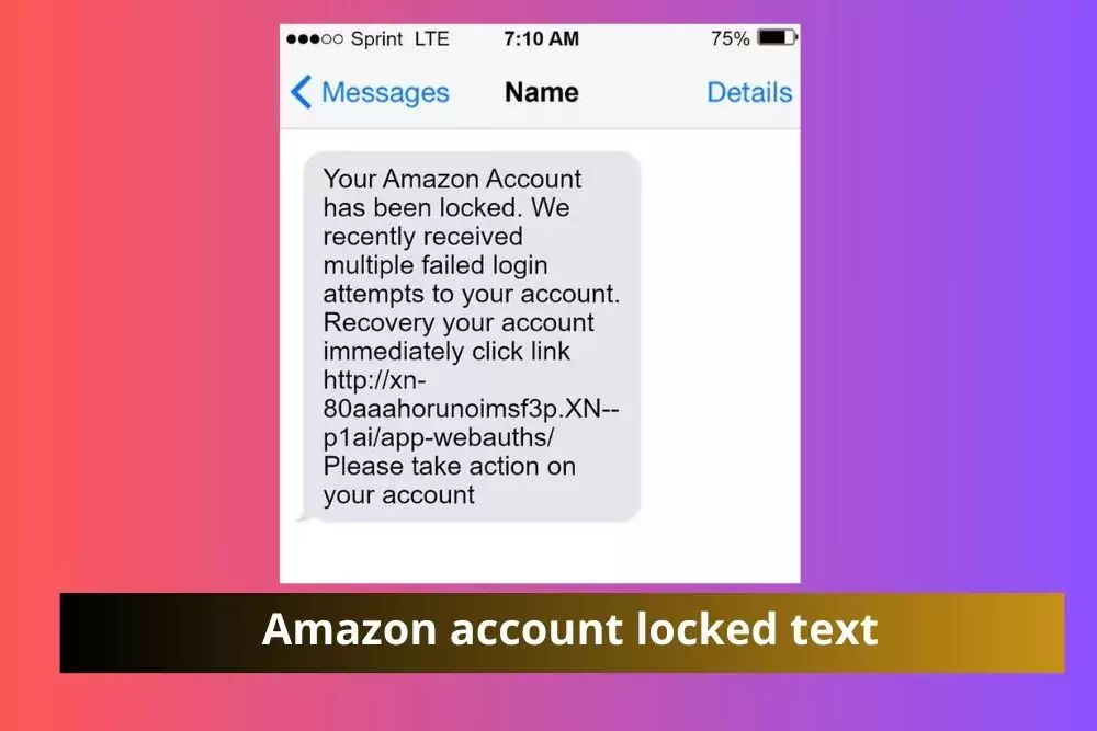 Amazon account locked text