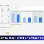Amazon Seller Profit Analysis