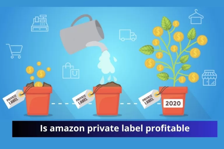 Profitable private label on Amazon