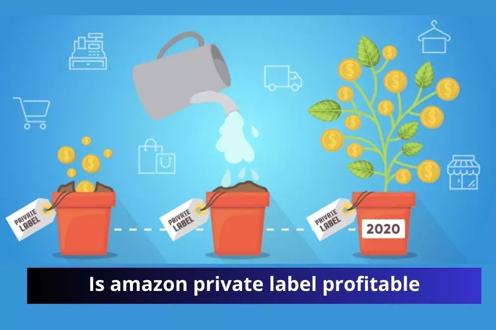 Profitable private label on Amazon