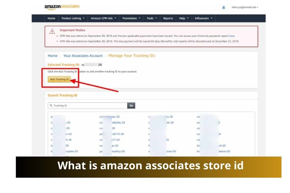 Amazon Associates Store ID